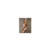 Bunny suit Costume Lapin 4 pcs rose